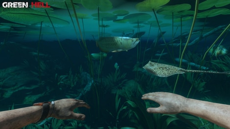 Green Hell (PC) - Steam Key - NORTH AMERICA - 9