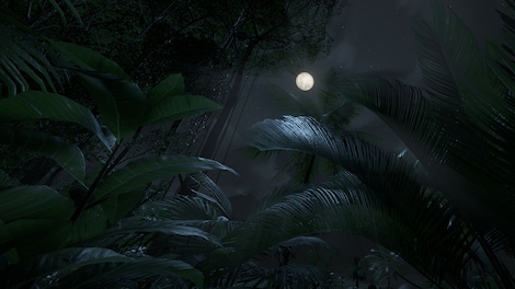 Green Hell VR (PC) - Steam Gift - GLOBAL - 10