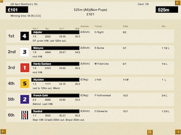 Greyhound Manager 2 Rebooted Steam Gift GLOBAL - 2