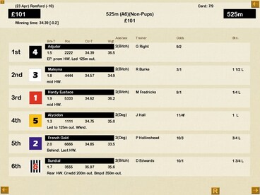 Greyhound Manager 2 Rebooted Steam Key GLOBAL - 2