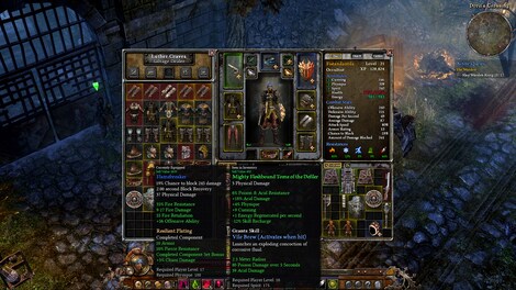 Grim Dawn Steam Gift UNITED KINGDOM - 5