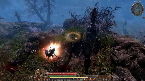 Grim Dawn Steam Key CIS - 16