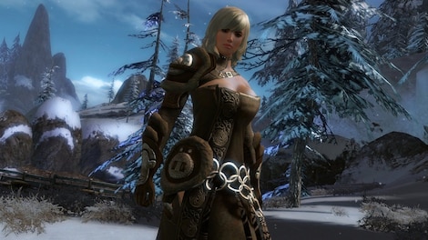 Guild Wars 2 Heroic Edition NCSoft Key NORTH AMERICA - 12