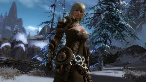 Guild Wars 2 Heroic Edition NCSoft Key NORTH AMERICA - 13