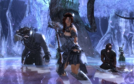 Guild Wars 2 Heroic Edition NCSoft Key NORTH AMERICA - 6