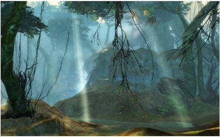Guild Wars 2 Heroic Edition NCSoft Key NORTH AMERICA - 17