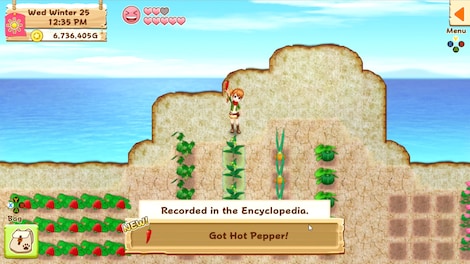 Harvest Moon: Light of Hope Special Edition Steam Key GLOBAL - 5