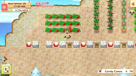 Harvest Moon: Light of Hope Special Edition Steam Key GLOBAL - 2