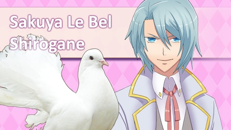 Hatoful Boyfriend Collector's Edition Steam Key GLOBAL - 5