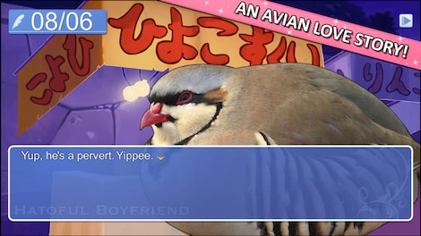 Hatoful Boyfriend Collector's Edition Steam Key GLOBAL - 6