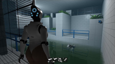 Haydee Steam Gift NORTH AMERICA - 7