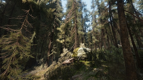 Heat Steam Gift GLOBAL - 5