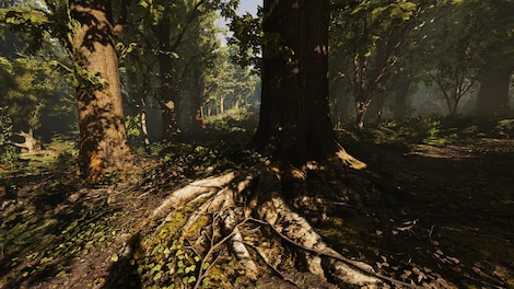 Heat Steam Gift GLOBAL - 9