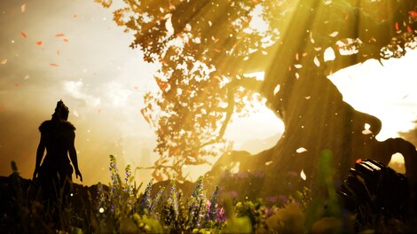 Hellblade: Senua's Sacrifice (Xbox Series X/S) - Xbox Live Key - TURKEY - 5