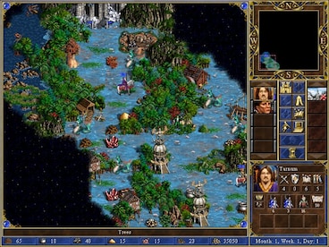 Heroes Chronicles: All chapters GOG.COM Key GLOBAL - 8