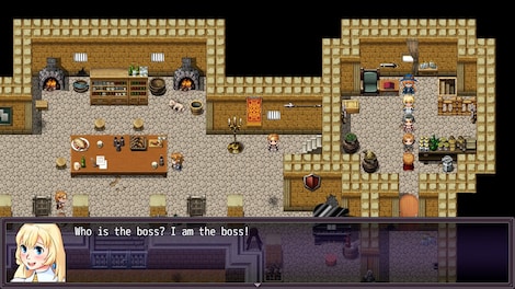 Heroines of Swords & Spells - Steam - Key GLOBAL - 15