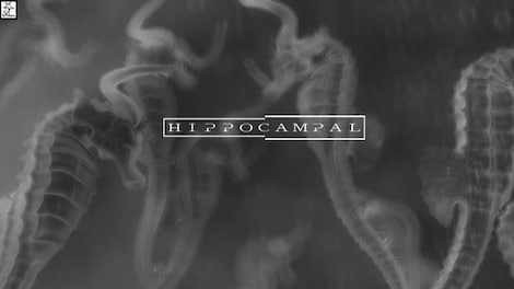 Hippocampal: The White Sofa Steam Key GLOBAL - 5