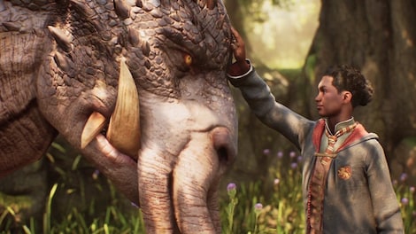 Hogwarts Legacy | Deluxe Edition (PC) - Steam Key - CHINA - 7