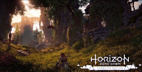 Horizon Zero Dawn | Complete Edition (PC) - Steam Key - UNITED STATES - 10
