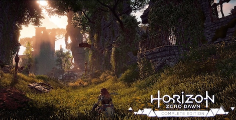 Horizon Zero Dawn (PS4) - PSN Account - GLOBAL - 10