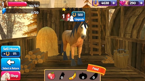 Horse Paradise - My Dream Ranch Steam Key GLOBAL - 5