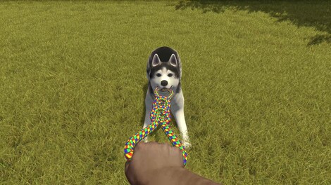 House Flipper - Pets DLC (PC) - Steam Gift - EUROPE - 10