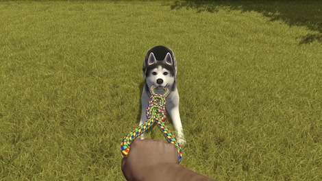 House Flipper - Pets DLC (PC) - Steam Gift - NORTH AMERICA - 10