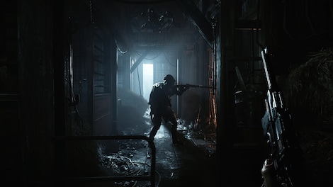 Hunt: Showdown 1896 (PC) - Steam Account - GLOBAL - 5