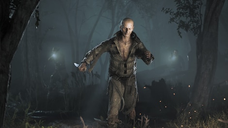 Hunt: Showdown - The Committed (PC) - Steam Gift - GLOBAL - 3
