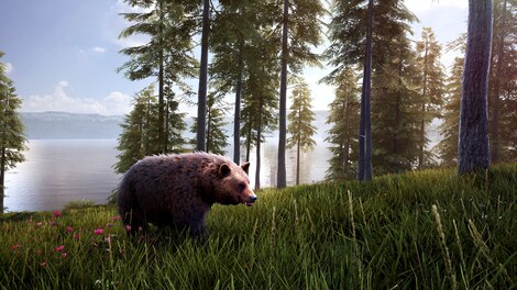 Hunting Simulator 2 Bear Hunter Pack (PC) - Steam Gift - EUROPE - 3