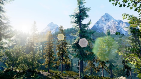 Hunting Simulator Steam Key GLOBAL - 14