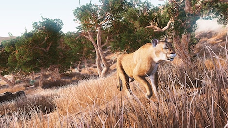 Hunting Simulator Steam Key GLOBAL - 5
