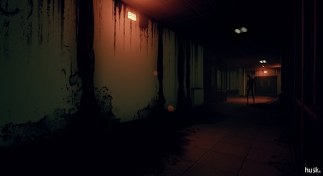 Husk Steam Key GLOBAL - 6