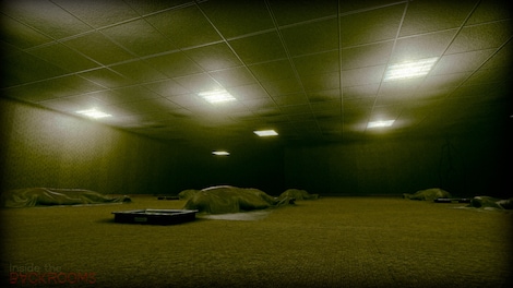 Inside the Backrooms (PC) - Steam Account - GLOBAL - 11