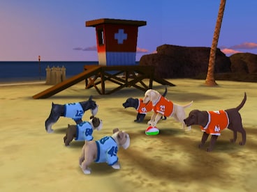 Jerry Rice & Nitus' Dog Football Steam Key GLOBAL - 8