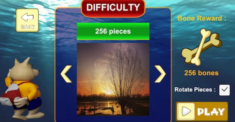 Jigsaw Puzzle: Belgium Through The Lens (PC) - Steam Key - GLOBAL - 5