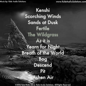 Kenshi Original Soundtrack Steam Key GLOBAL - 3