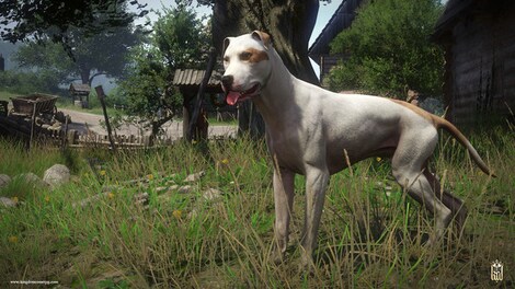 Kingdom Come: Deliverance - A Woman's Lot (PC) - Steam Gift - JAPAN - 6