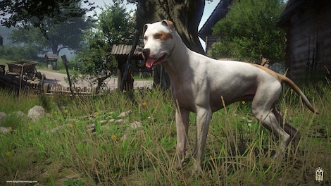 Kingdom Come: Deliverance - A Woman's Lot (PC) - Steam Key - RU/CIS - 6