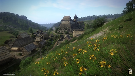 Kingdom Come: Deliverance + Band of Bastards Bundle (PC) - Steam Key - GLOBAL - 7