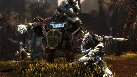 Kingdoms of Amalur: Re-Reckoning | FATE Edition (PC) - Steam Key - CIS - 10