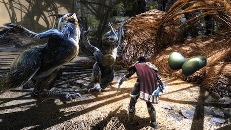 Kingdoms of Amalur: Re-Reckoning (PC) - Steam Account - GLOBAL - 12