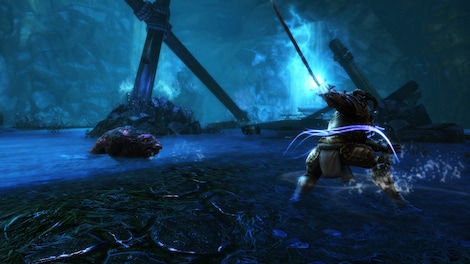 Kingdoms of Amalur: Re-Reckoning (PC) - Steam Key - CIS - 4