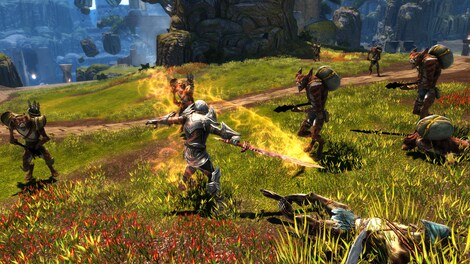 Kingdoms of Amalur: Re-Reckoning (PC) - Steam Key - EUROPE - 8