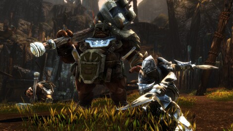 Kingdoms of Amalur: Re-Reckoning (Xbox One) - Xbox Live Key - ARGENTINA - 10