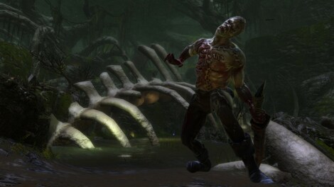 Kingdoms of Amalur: Reckoning - Weapons & Armor Bundle Steam Key GLOBAL - 22