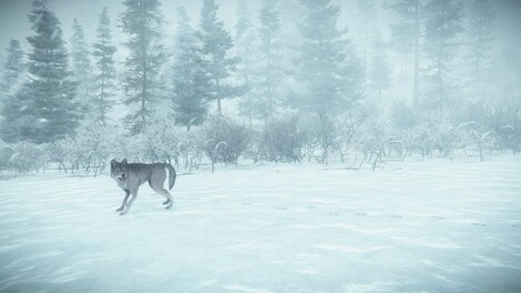 Kona (PC) - Steam Key - EUROPE - 10