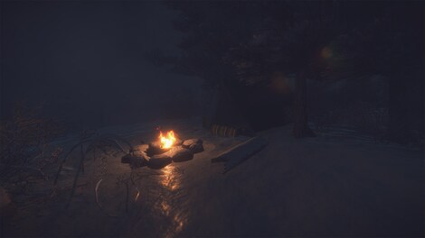 Kona (PC) - Steam Key - EUROPE - 7