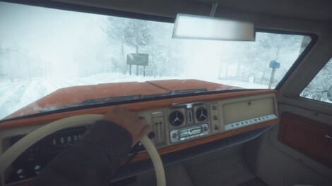 Kona (PC) - Steam Key - EUROPE - 4