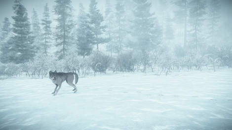 Kona (Xbox One) - Xbox Live Key - ARGENTINA - 9